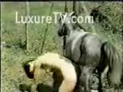 Woman screwed by a horse